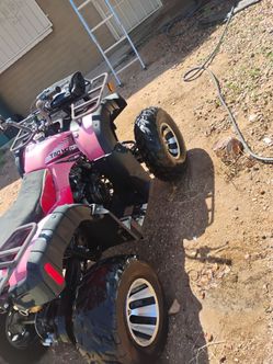 2021 TAOI BULL200S R