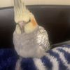 Juan_