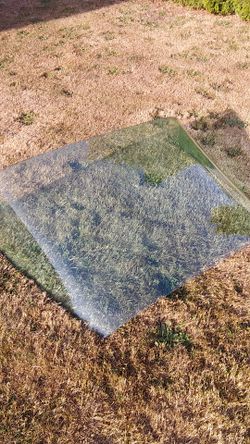 64 65 66 Baracuda Rear Glass