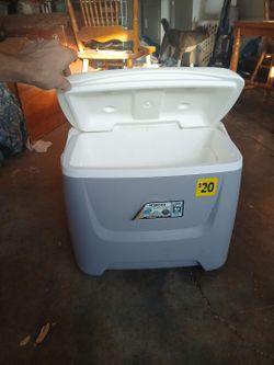 Igloo 28 Qt Cooler