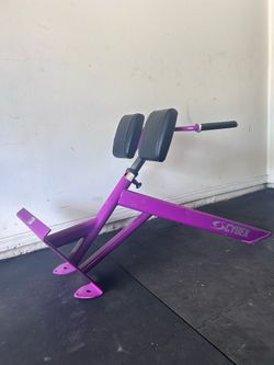 Cybex 45 Degree Back Extension Hyperextension