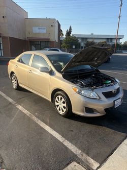 2009 Toyota Corolla