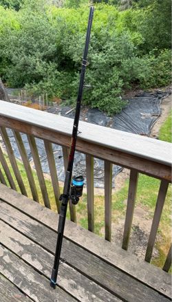 Plunking/Crab Snare Rod and reel