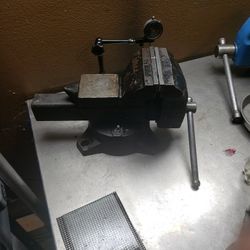 Vice 5"