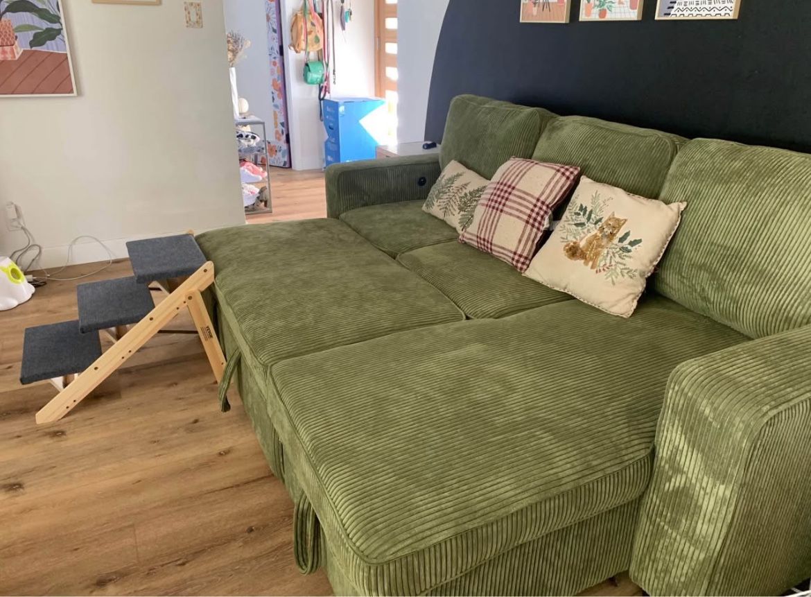 New Sleeper Sectional Couch With Storage / Free Delivery
