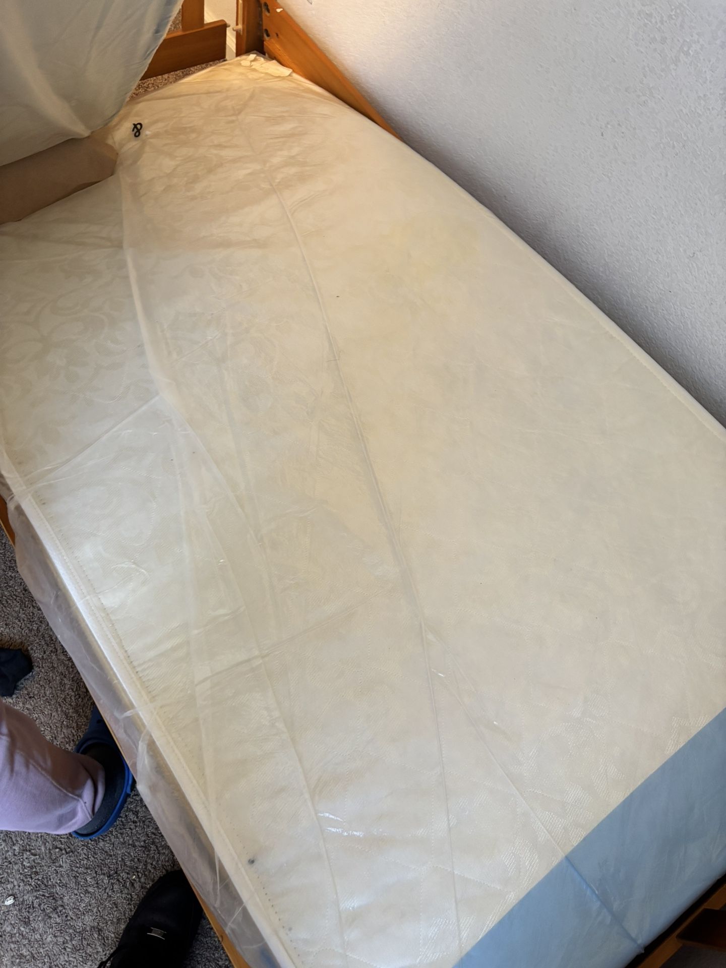 Box Spring & Mattress 
