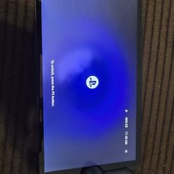 Playstation Portal