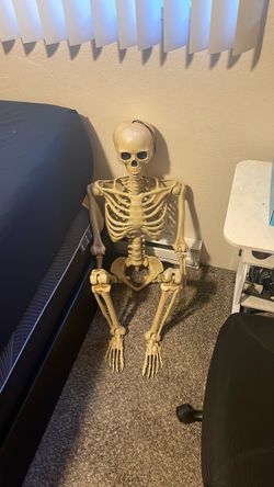Halloween decoration skeleton