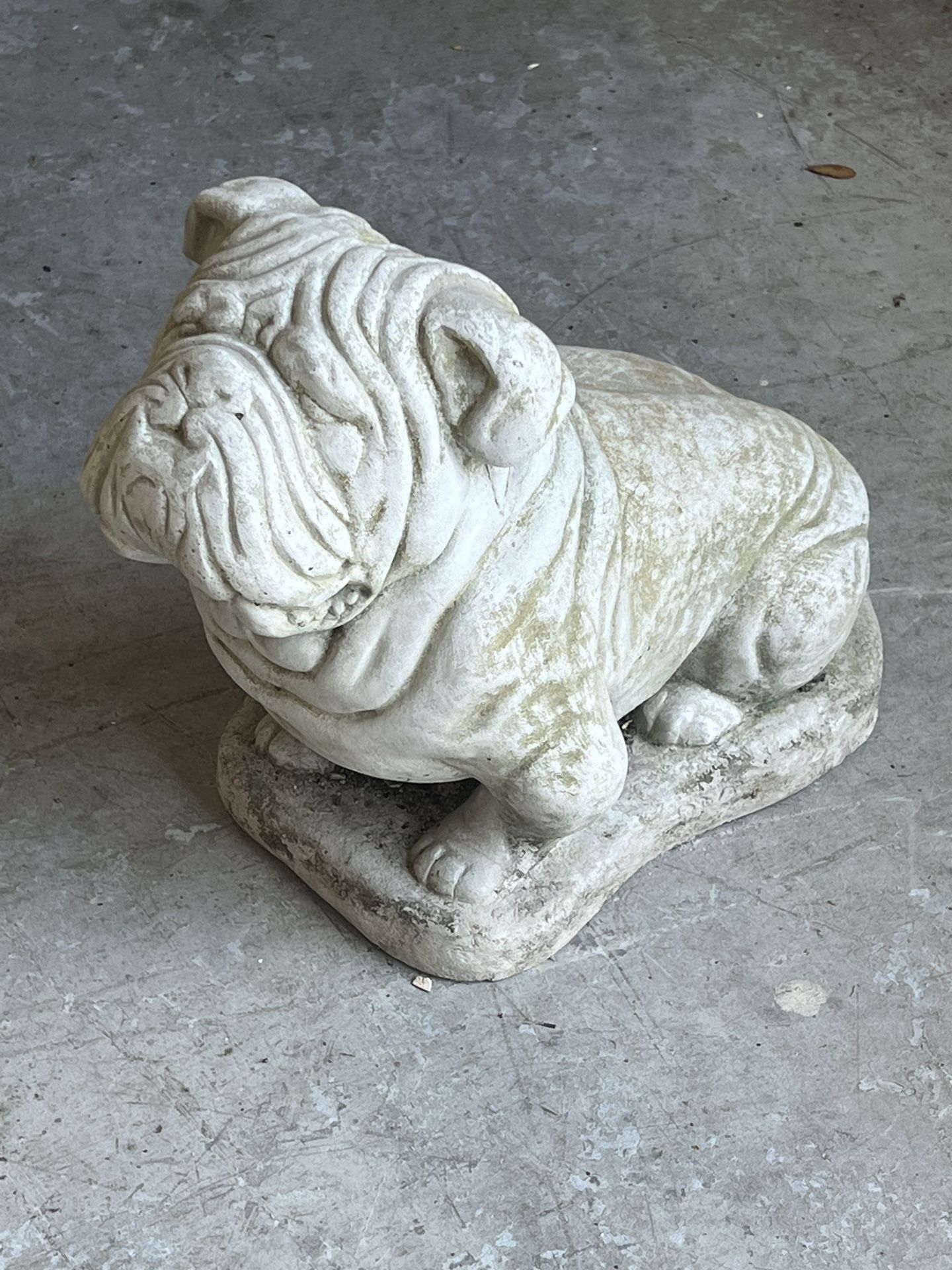 Concrete Bulldog Statue