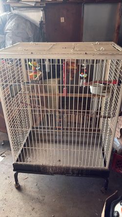 Bird cage