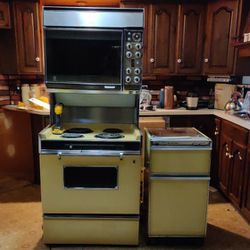 GE Double Oven Vintage with Matching Trash Compactor