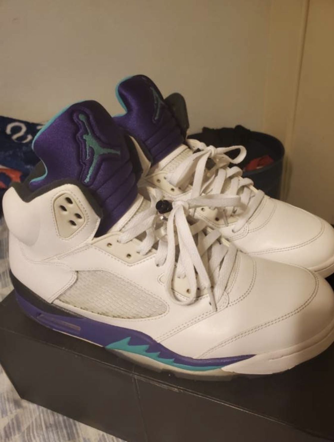 Jordan Grape 5s Size 12 (2013)
