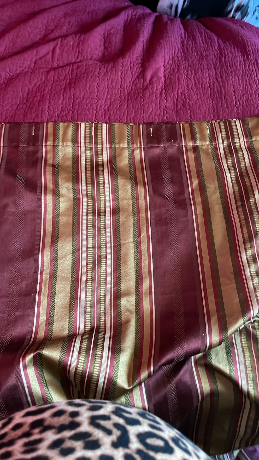 Cortina Baño Dino Nueva