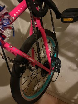 Pink Guardian Bike 20” large