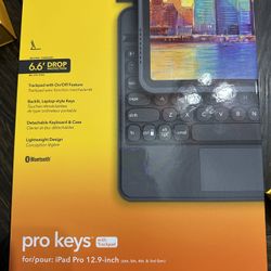 Apple iPad Pro 12.9 Inch Case