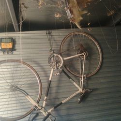 The Raleigh Vintage Bike