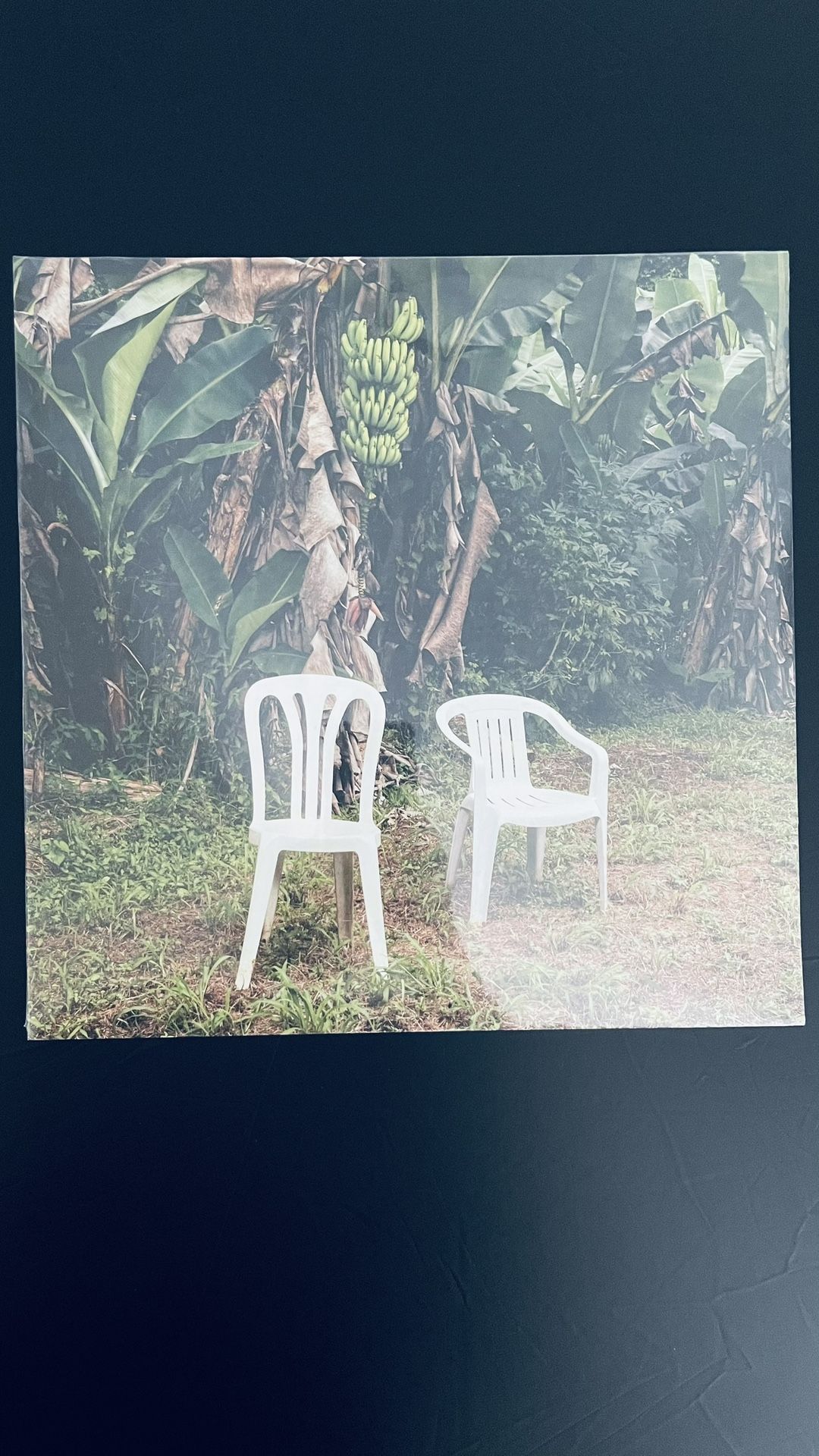 Bad Bunny Debi Tirar Mas Fotos Double Vynil Gatefold  New Sealed