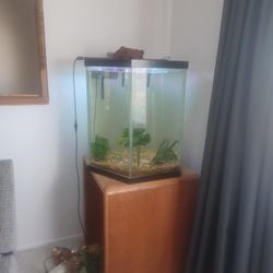 Fish Tanks