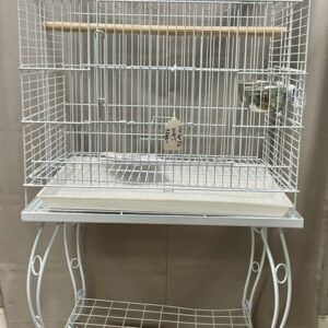 Bird Cage For Bourkes