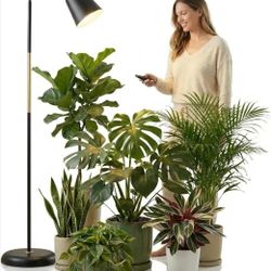 Floor Lamp Grow Lights for Indoor Plants, Adjustable Height Tall Standing Plant Light with Remote & Timer, 360° Gooseneck, Full Spectrum Dimmable
