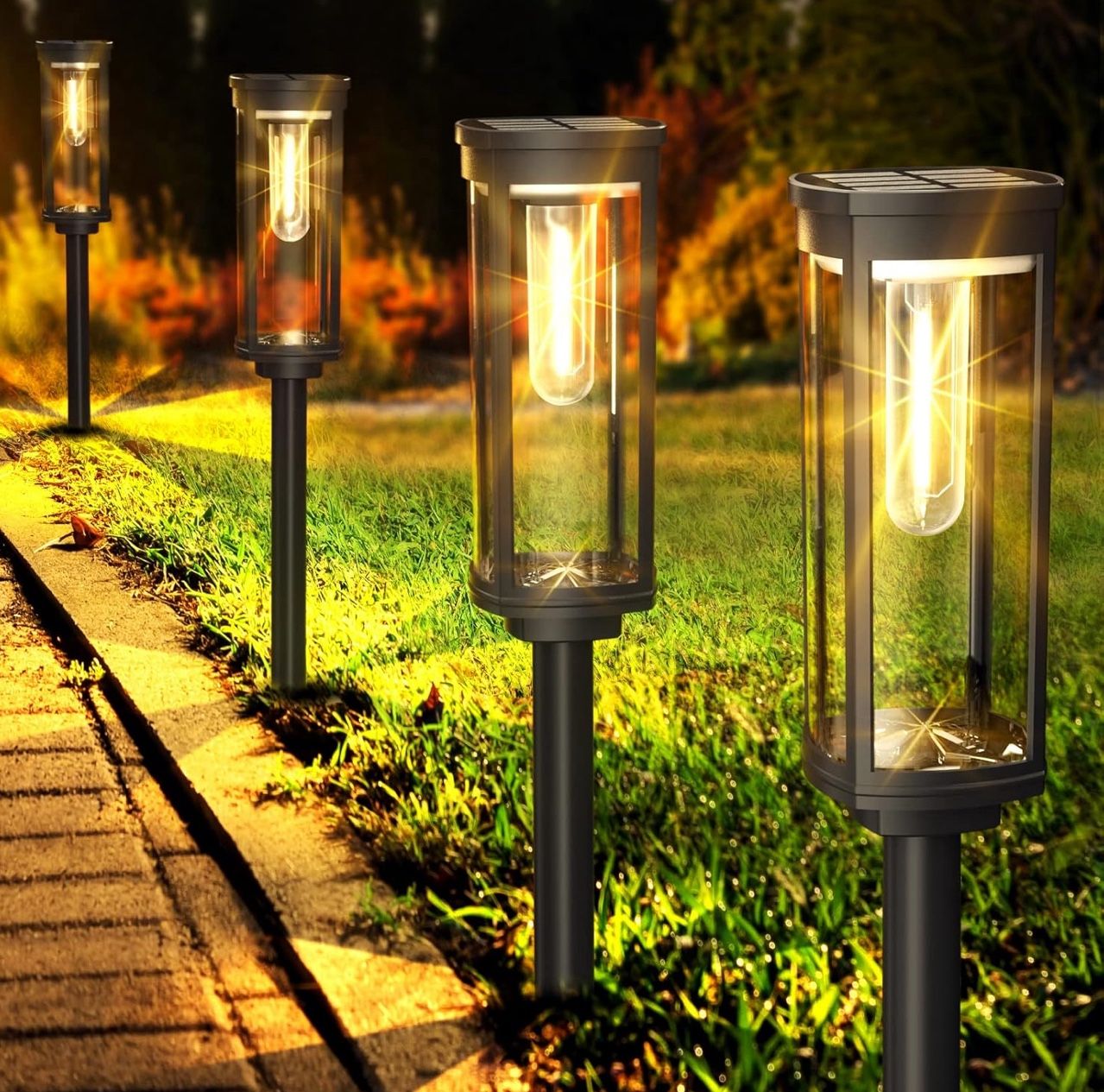 Outdoor Solar Pathway Lights (8 Pack)