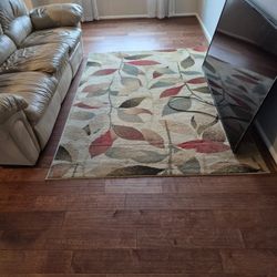 5'3"  X  7'6" Area Rug 