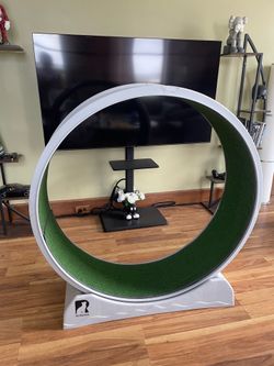 Cat Wheel