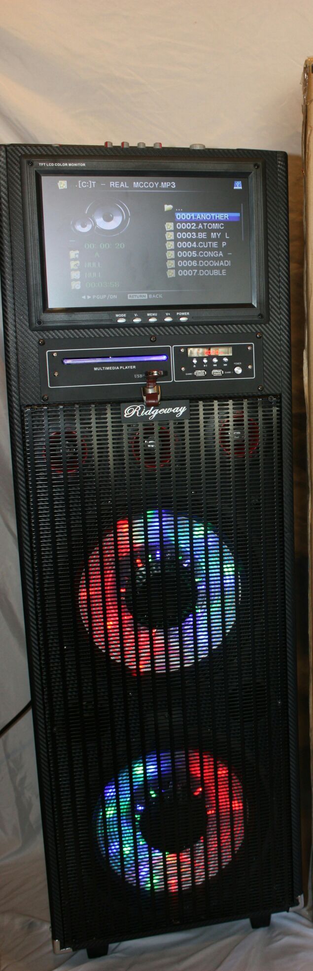 Double 12 inch 12 inch screen Bluetooth speaker SD card,slot USB port,FM radio,microphone included for karaoke