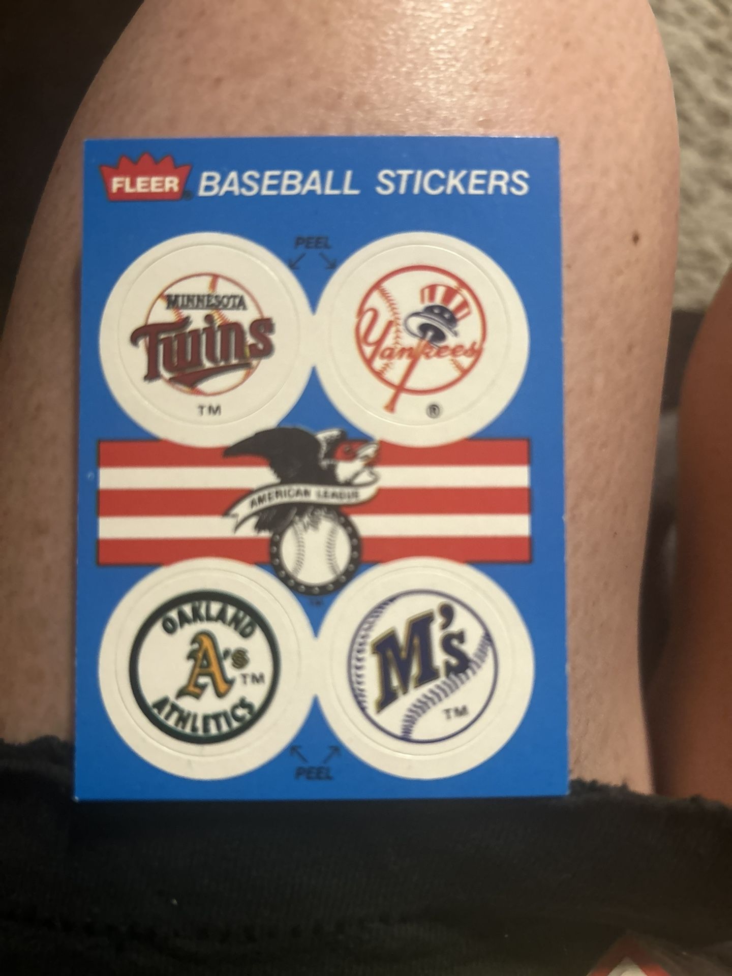 Baseball Cards- Special Edition!