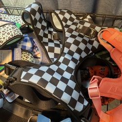 Harnesses, Padded Fabric, Mesh,  Most Sizes $15