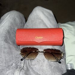 Luxury Shades 