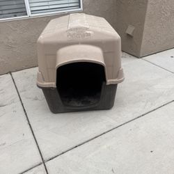 Dog House