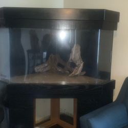 100 Corner Acrylic Aquarium. Fish Tank.