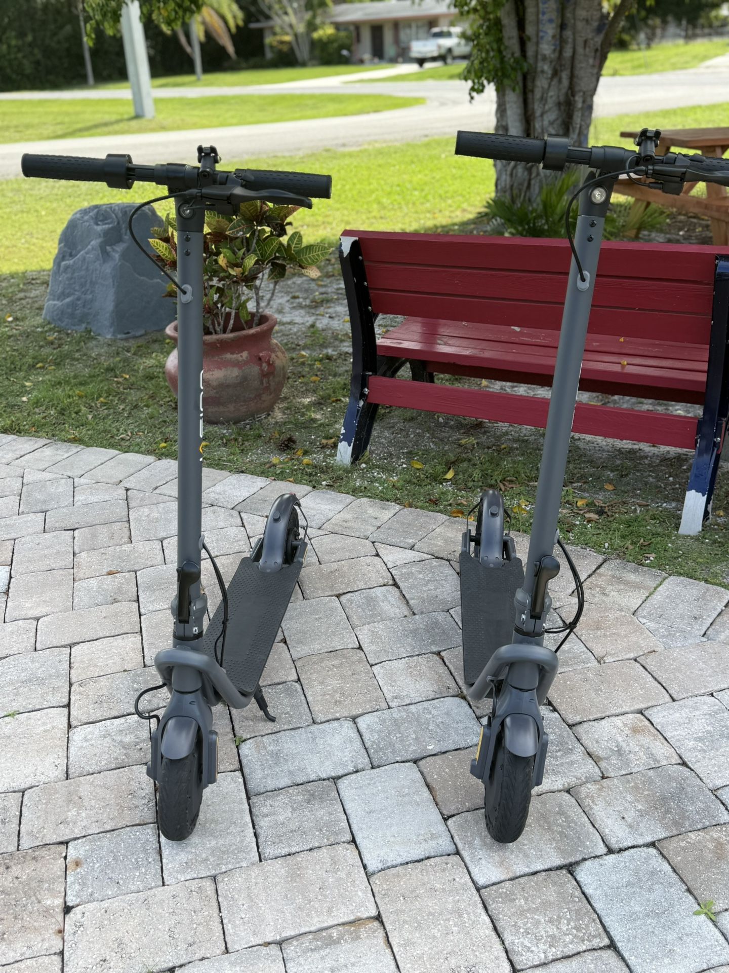 Adult Electric Scooters