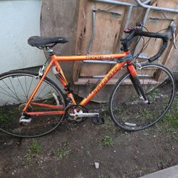 Trek 1000sl Road Bike