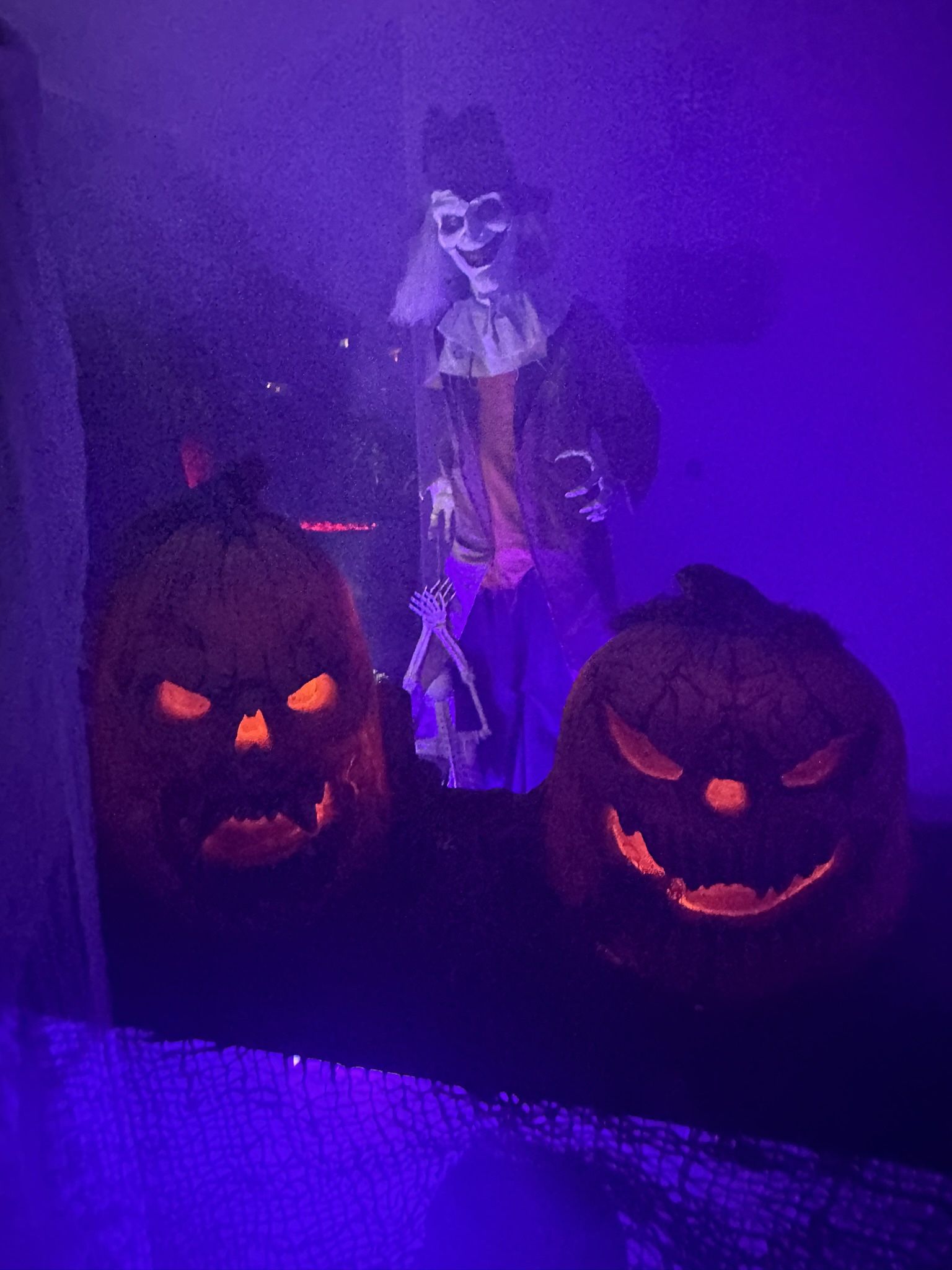 Halloween Pumpkins