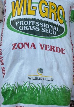 semilla de invierno