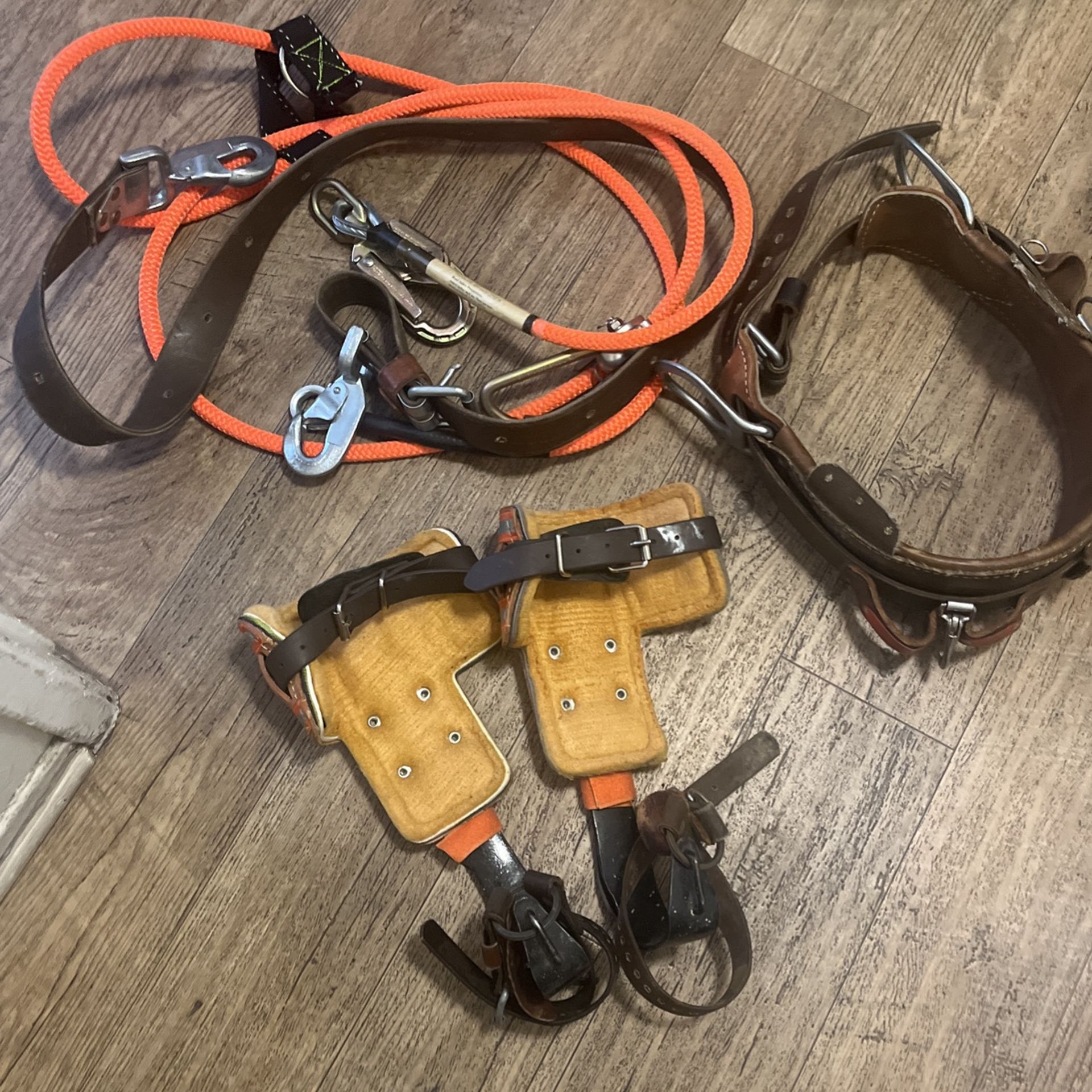 Palm Tree Climbing Equipment