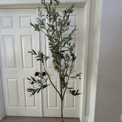Fake Plant 6 Feet Tall 
