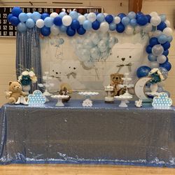 Baby Shower Picture Backdrop 