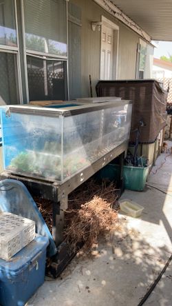 300 gallon tank