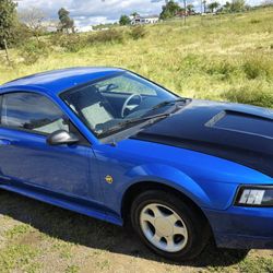 1999 Ford Mustang