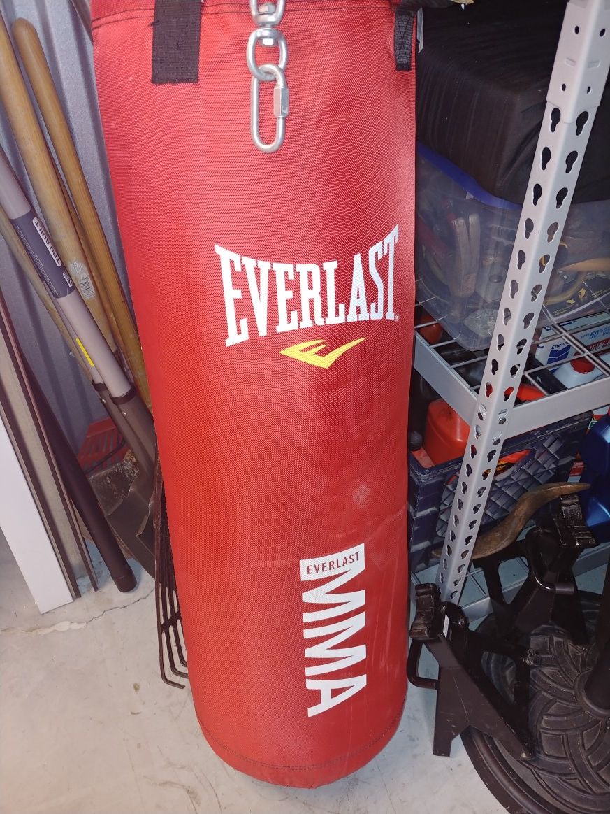 Everlast punching bag and stand for Sale in Edmonds, WA OfferUp