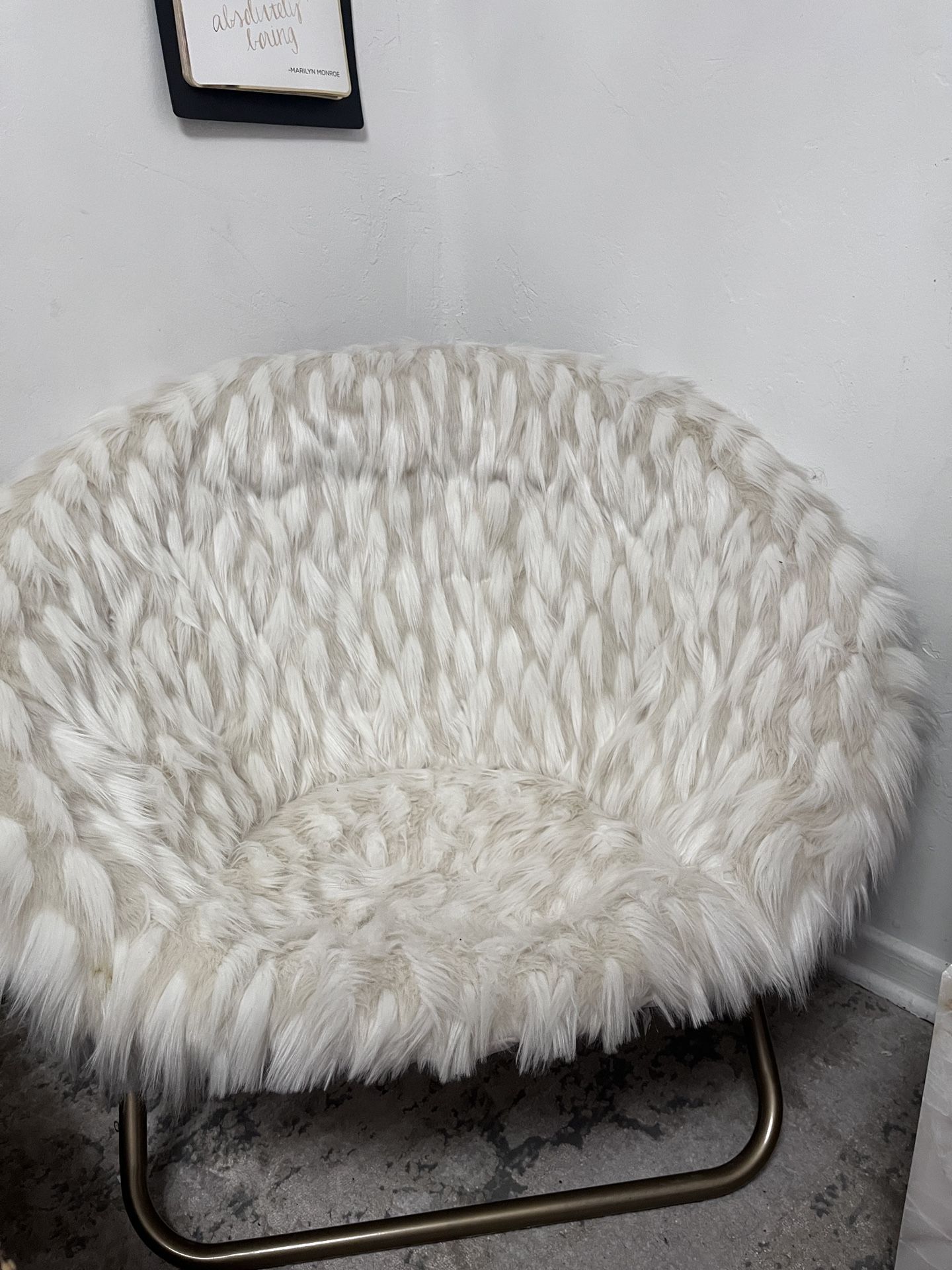 PotteryBarn Teen Faux Fur Round Chair