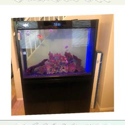 nor often Full Aquarium Tank - Spacious & Eye-Catching