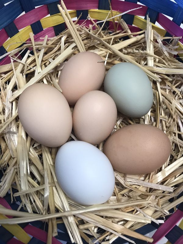 Where Can I Sell My Eggs In California GoldEgg Omega 3