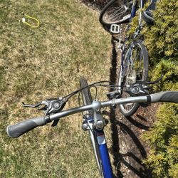 10pm is Speed Bikes For Sale