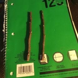 (2) RED DELICIOUS APPLE TREE CUTTINGS