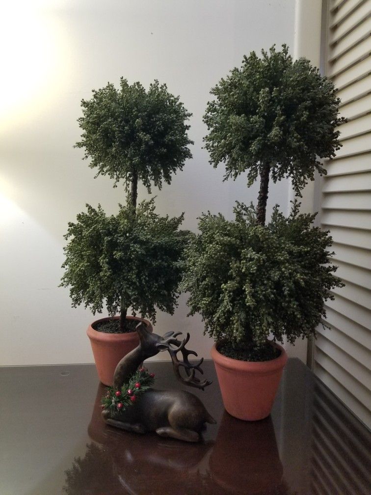Pottery Barn Topiaries (2 Piece Set)