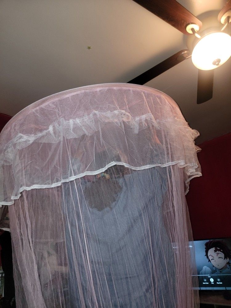 Pink Bed Canopy